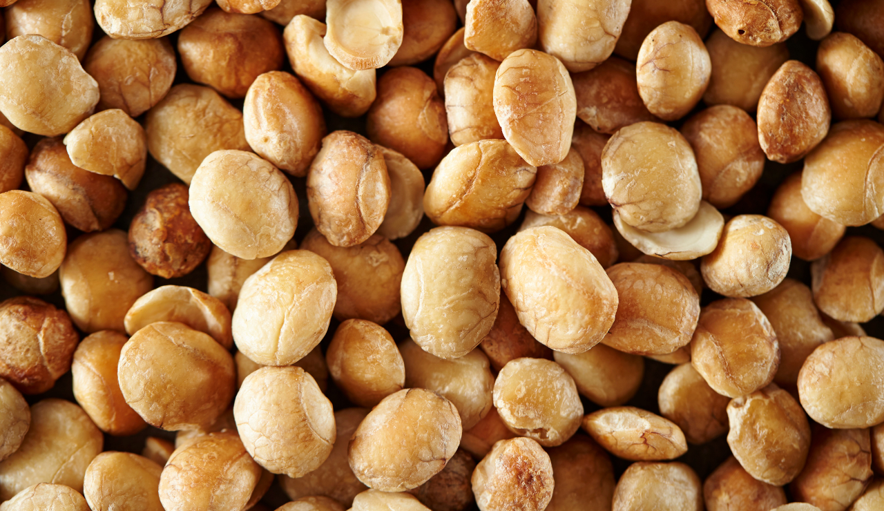 Toasted sacha inchi nuts